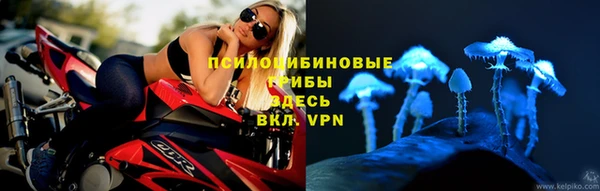 тгк Гусь-Хрустальный