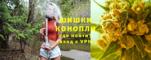 тгк Гусь-Хрустальный