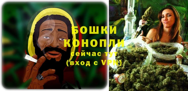 тгк Гусь-Хрустальный