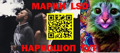 гашик Балахна