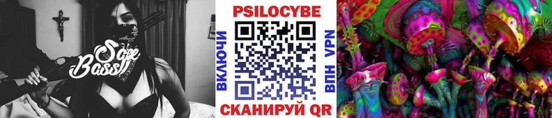 Псилоцибиновые грибы мицелий  кракен   Мценск 