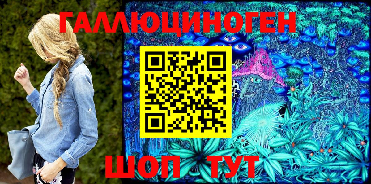 где продают наркотики  Мценск  Галлюциногенные грибы Psilocybe 