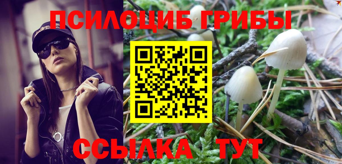 Псилоцибиновые грибы GOLDEN TEACHER  Вход с VPN  Мценск 