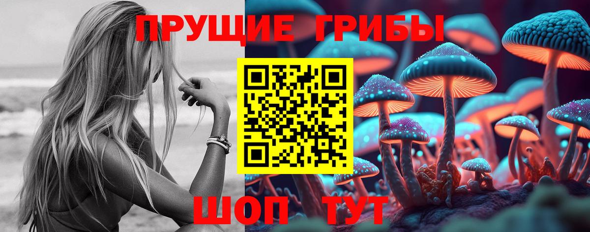 Псилоцибиновые грибы GOLDEN TEACHER Мценск